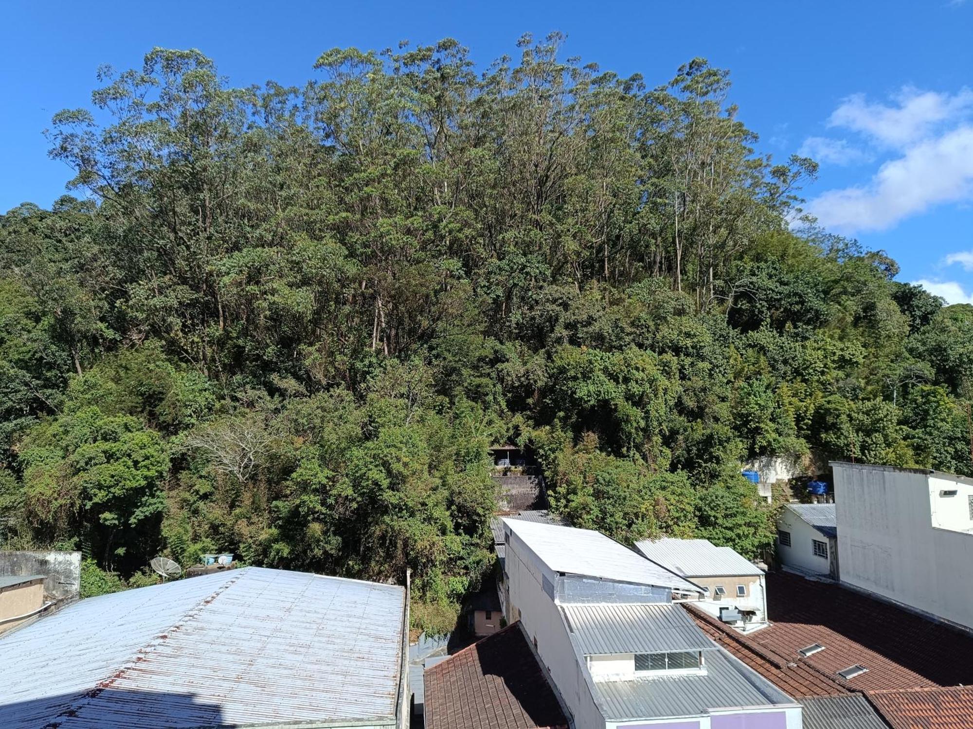 Apartamento Apto No Centro De *
